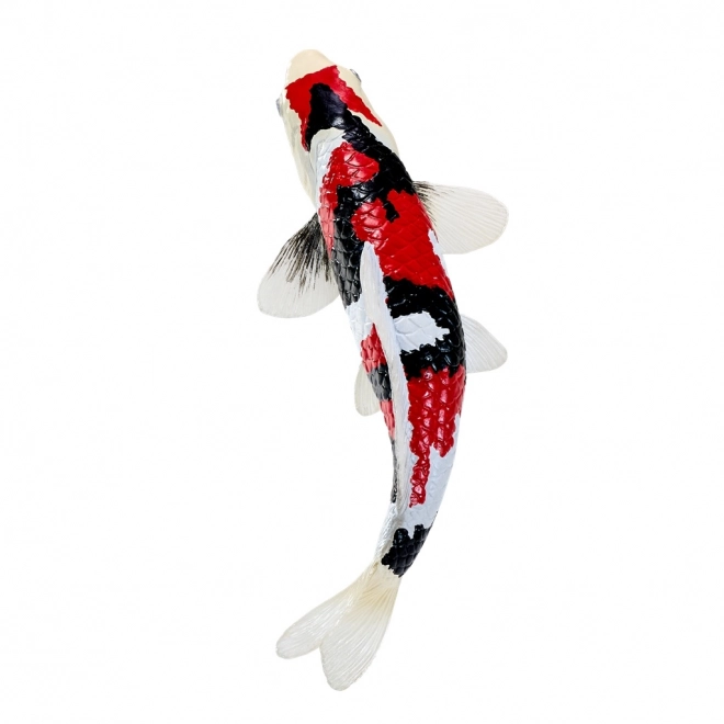 Mojo krap koi showa sanshoku