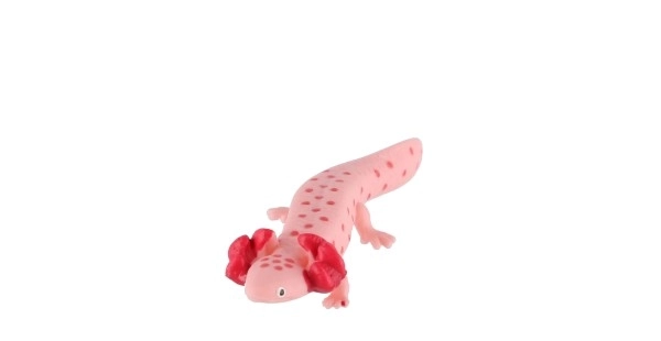 Mehiški aksolotl zient del 8cm v vrečki