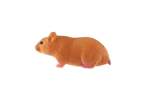 Morski prašiček domači zooted 6cm v vrečki