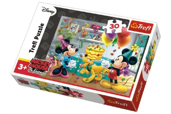 Zabava z Disneyjevo sliko