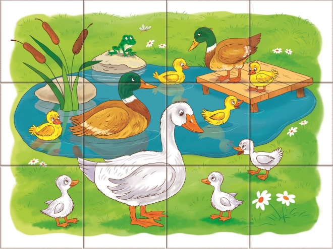Lesene kocke Na kmetiji