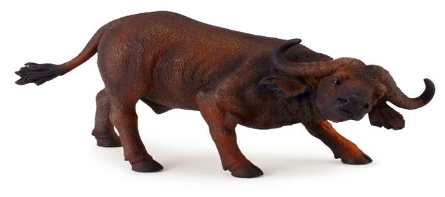 Afriški bik Collecta