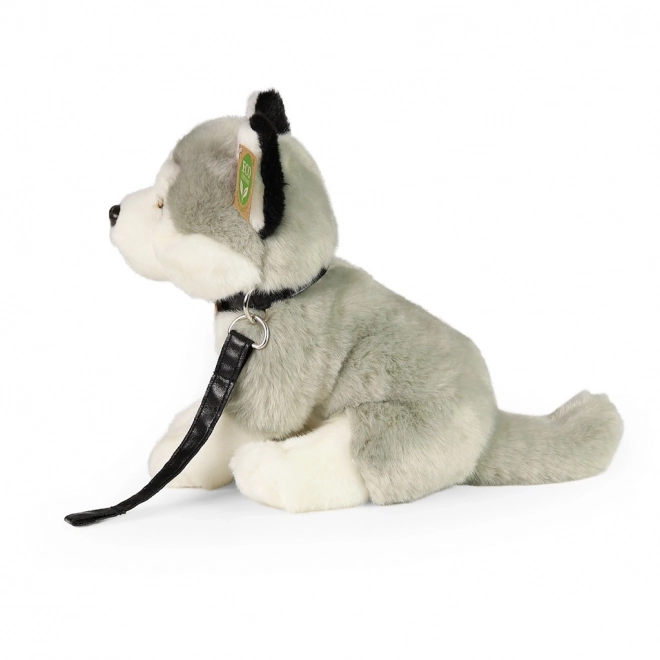 Plišasti pes Husky z vrvico 28 cm od Rappa