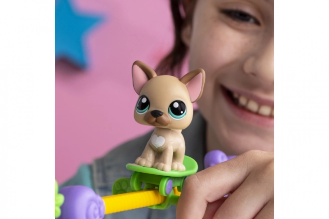 Littlest Pet Shop igralni set Živali imajo talent