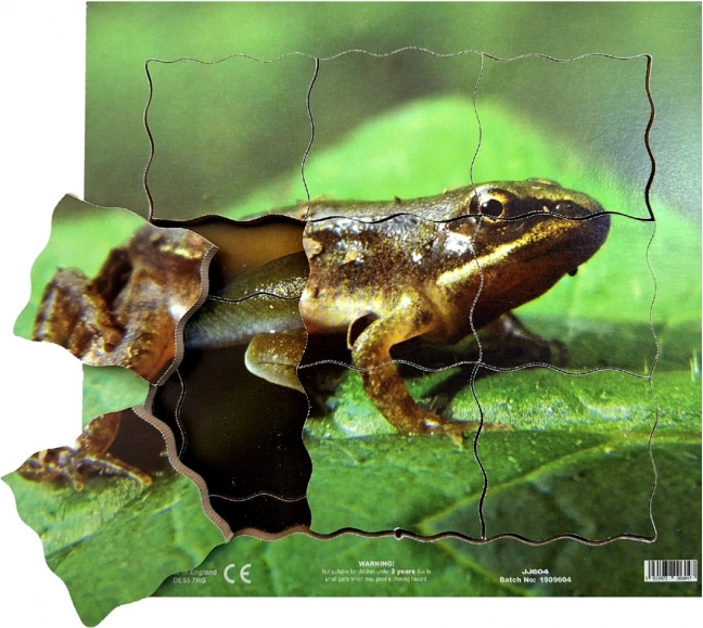 Just Jigsaws Žaba in njen življenjski cikel - lesene plastne sestavljanke