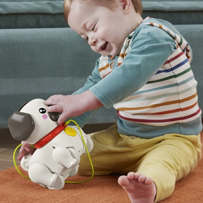 Fisher Price Sprehajalec mops HTW94