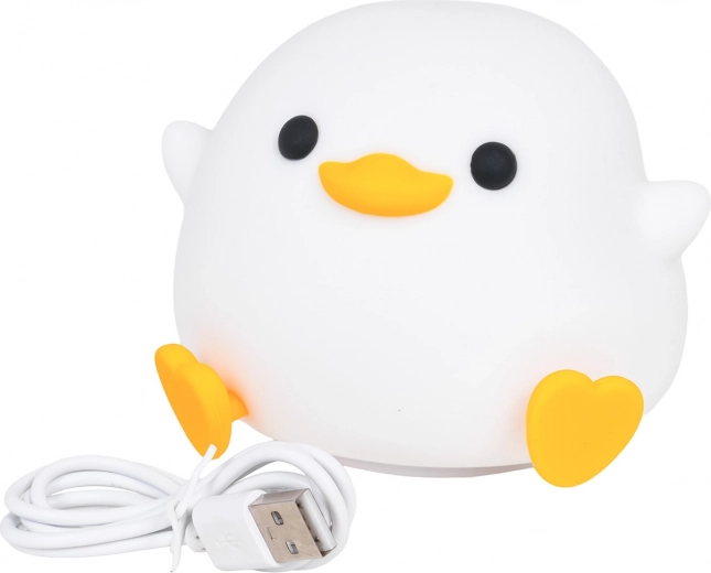 Polnilna baterija in USB‑C