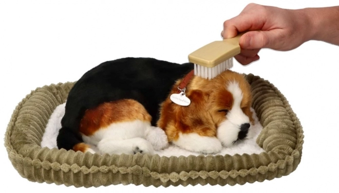 Dihajoči mladiček Beagle Perfect Petzzz