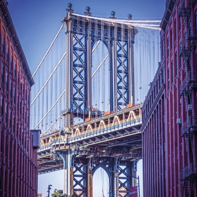 Opomni redni koledar New York 2026
