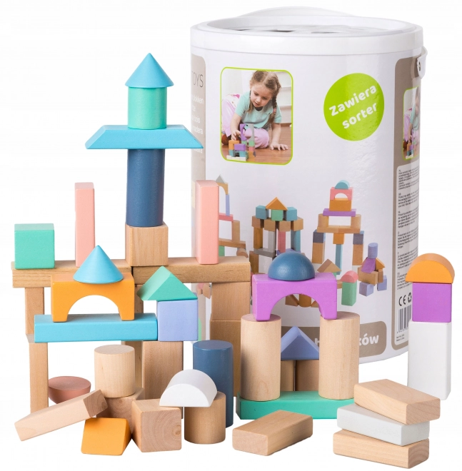 Lesene kocke 100 kosov v vedru s sortirnikom Ecotoys