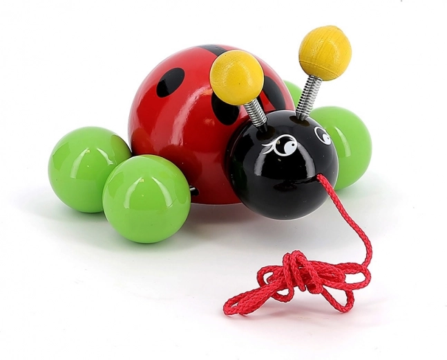 Gladka lakirana lesena konstrukcija