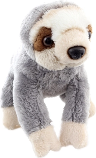 Ljubek realističen videz