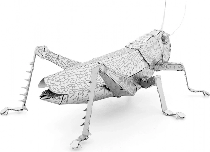 Kovinski zbirateljski kos za razstavo