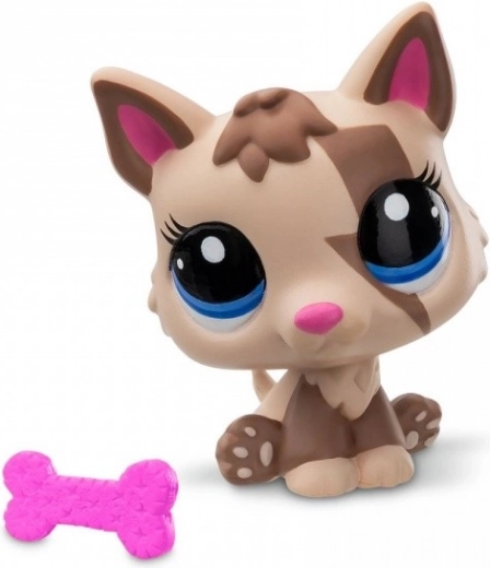 Dodatek in zbirateljska kartica v pakiranju