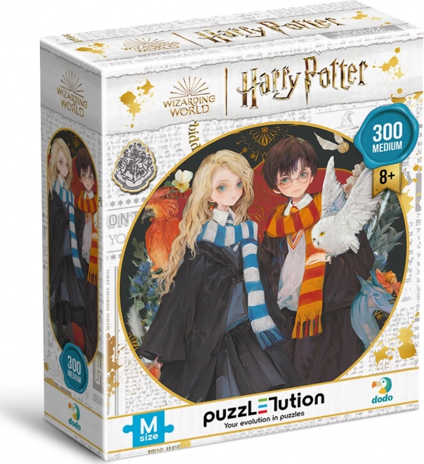 Sestavljanka Harry Potter: Harry in Luna 300 kosov