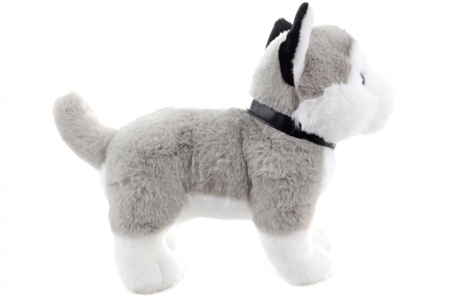 Plišasti husky z vrvico