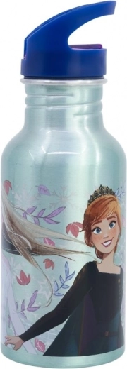 Aluminijasta steklenička za pitje Ledeno kraljestvo 545 ml