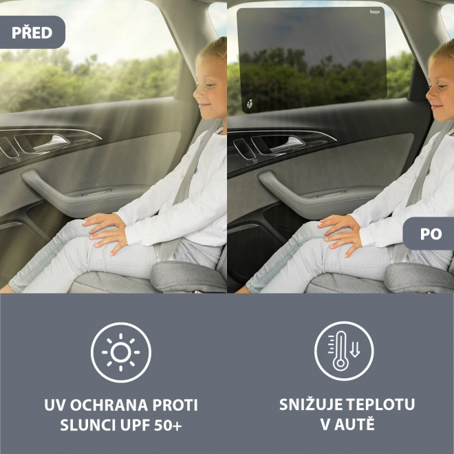 Dežna zaščita za avto