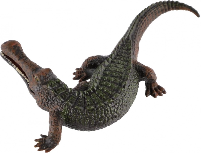 Verni barvni toni in dinamična poza