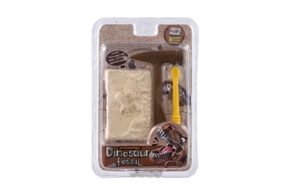 Mali arheolog dinozaver fosilije plast 2 barvi v blistru 12,5x19x5cm 12 kosov v škatli