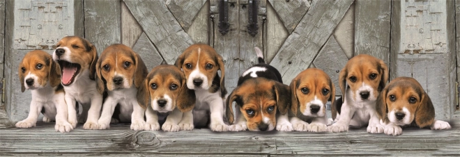 Sestavljanka 1000 koščkov compact panorama beagle