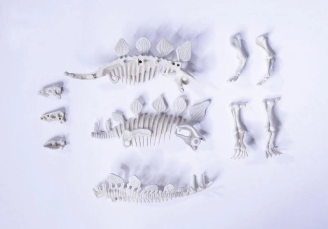 Komplet za izkopavanje in sestavljanje dinozavrskih okostij