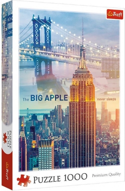 Sestavljanka 1000 kosov New York ob svitu