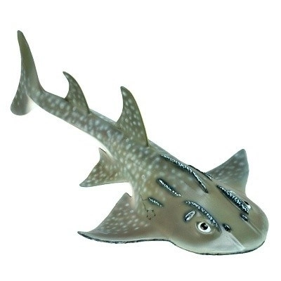 Krivoústec od Collecta