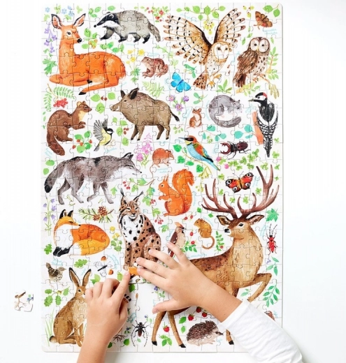 Plakat z zanimivostmi o naravi