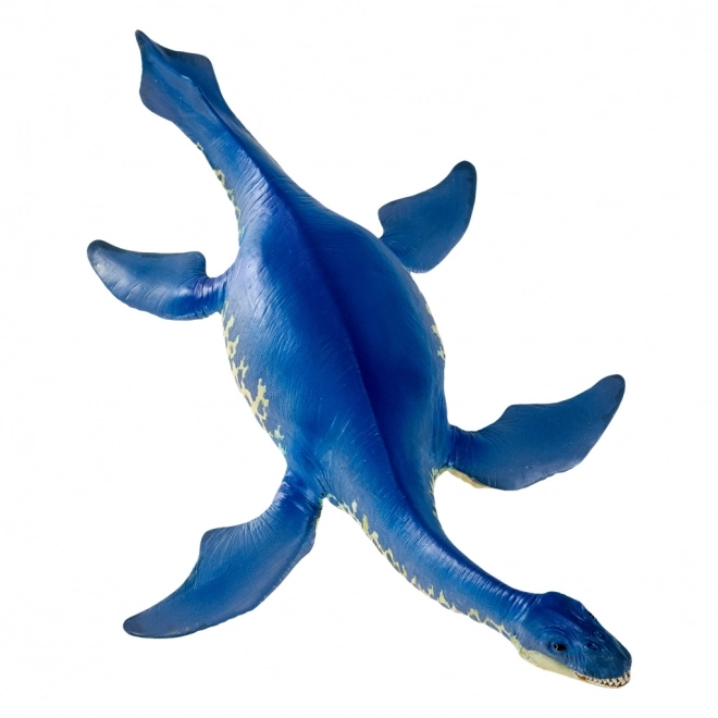 Cryptoclidus figurica xxl