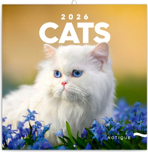 Beležniški koledar Mačke 2026