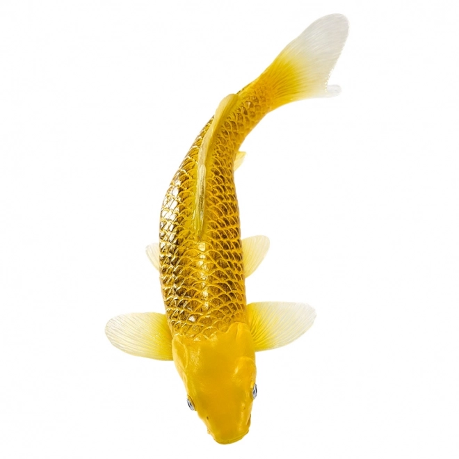 Mojo krap koi Matsuba