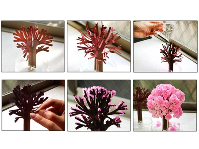 Čarobno drevo Sakura