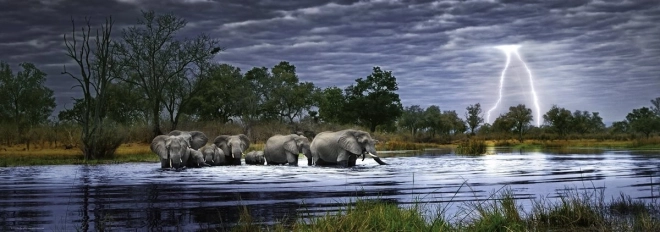 panoramske puzzle Slonje čredo Botswana 2000 koščkov