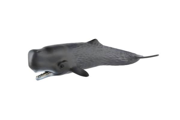Realističen model orjaške glavače 24 cm
