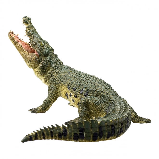 Realistični Krokodil s Premično Čeljustjo