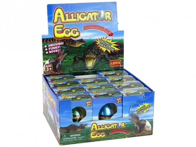 rastoče jajce aligator krokodil 6 cm