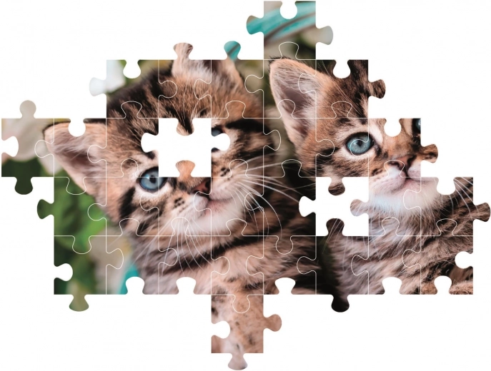 Natančni kosi in žive barve