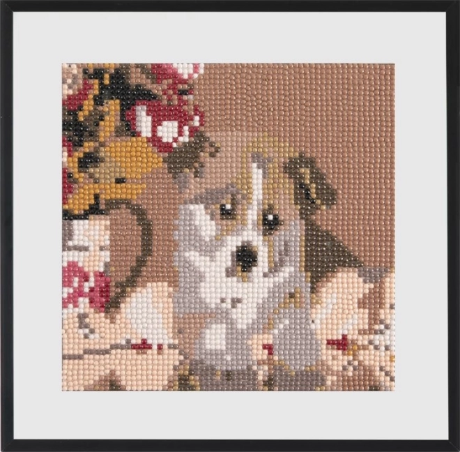 GRAFIX Diamantno slikanje Luštno psiček 20x20cm