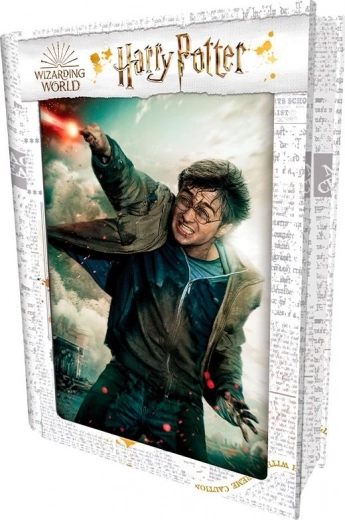 3D sestavljanka HARRY POTTER – Harry, 300 koščkov