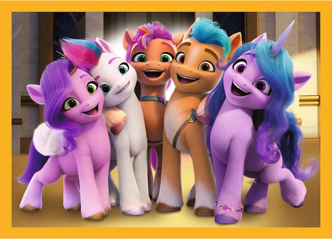 TREFL Sestavljanka My Little Pony: Spoznajte ponije 4v1 (35,48,54,70 kosov)