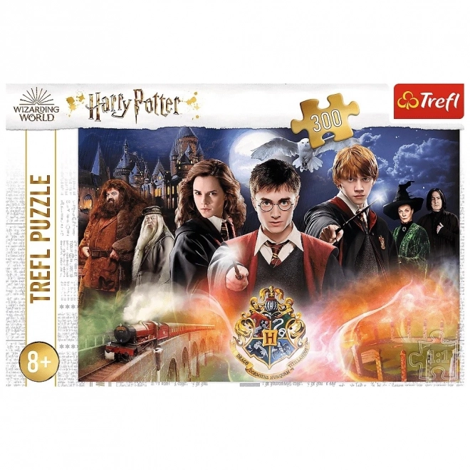 Skrivnostni Harry Potter puzzle 300 kosov
