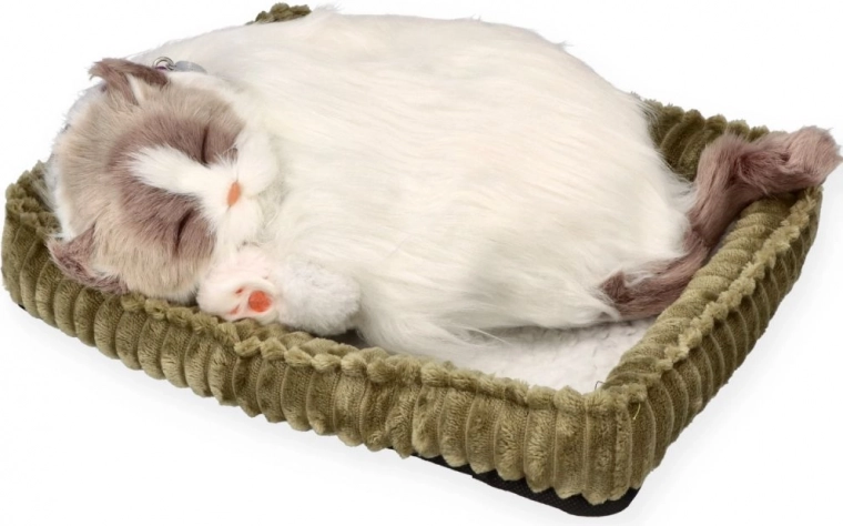 Realističen spanec za pomiritev