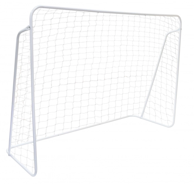 Nogometni gol z mrežo 240x160cm ECOTOYS