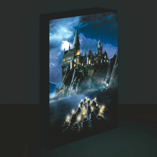 LED slika Harry Potter - Bradavičarka 30x40 cm