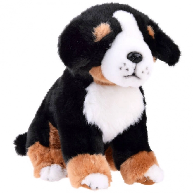 Plišast pes Bernski planšarski - sedeč 20 cm