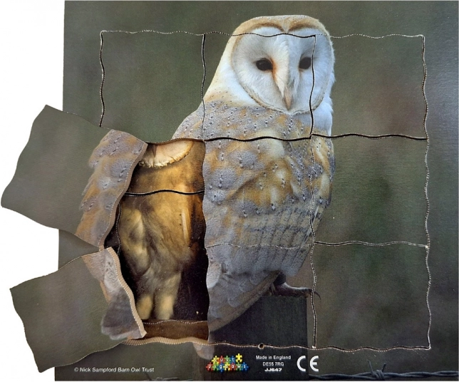 Just Jigsaws Sova in njen življenjski cikel - lesena plastovna sestavljanka