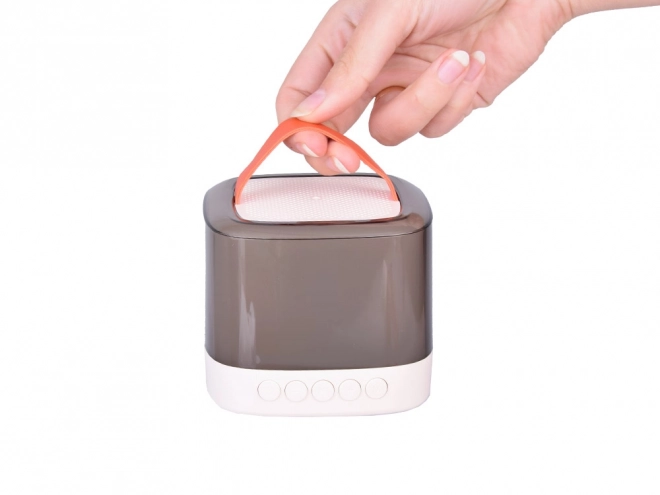 Mikrofon z brezžičnim zvočnikom in Bluetooth