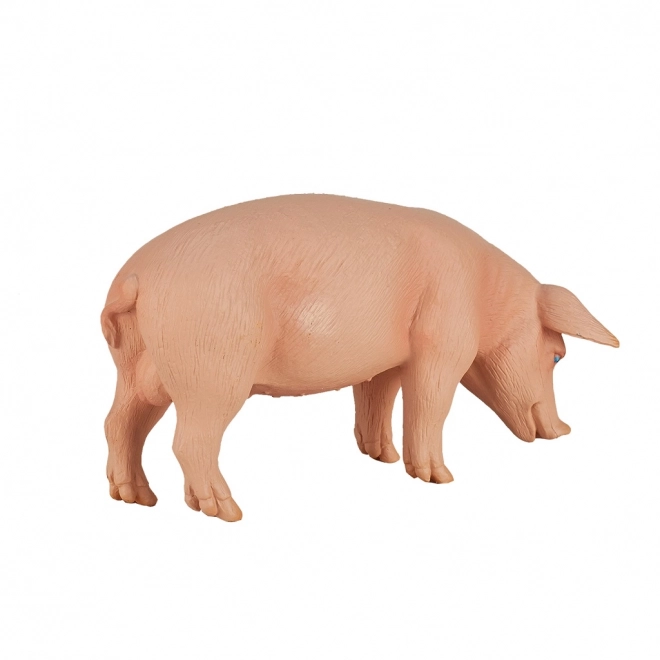 Mojo prašič figura