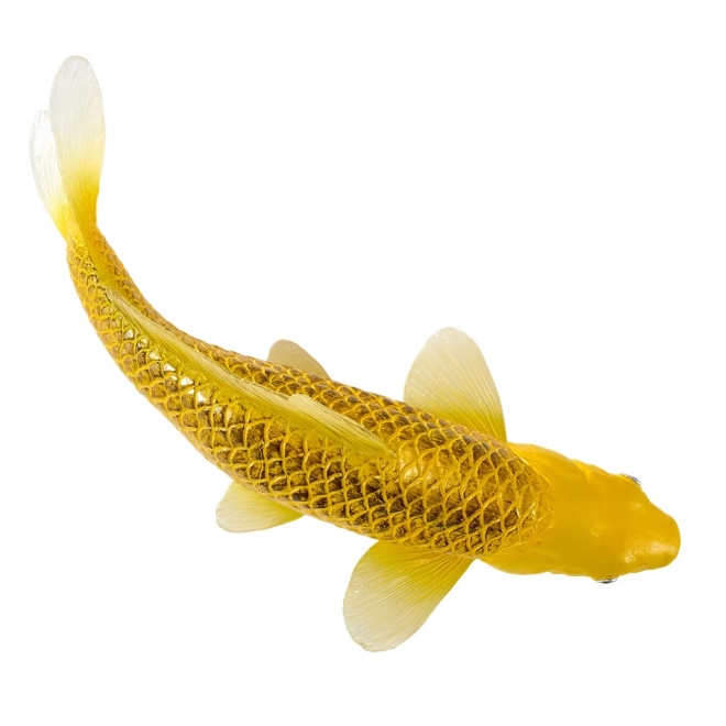Mojo krap koi Matsuba